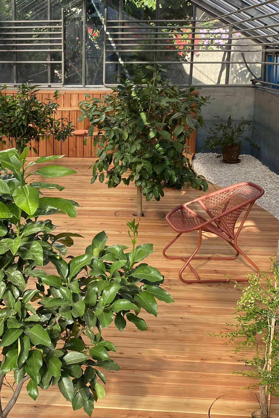 serre méditerranéenne