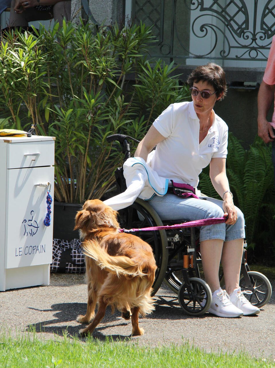 démonstration de chien guide