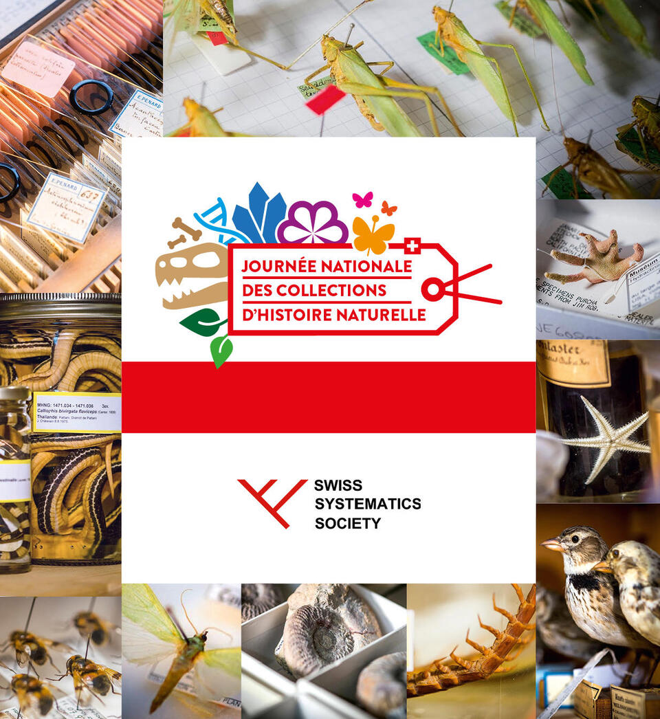 Journée nationale des collections d'histoire naturelle