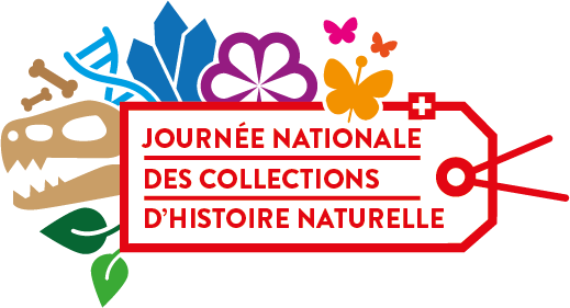 logo journée des collections