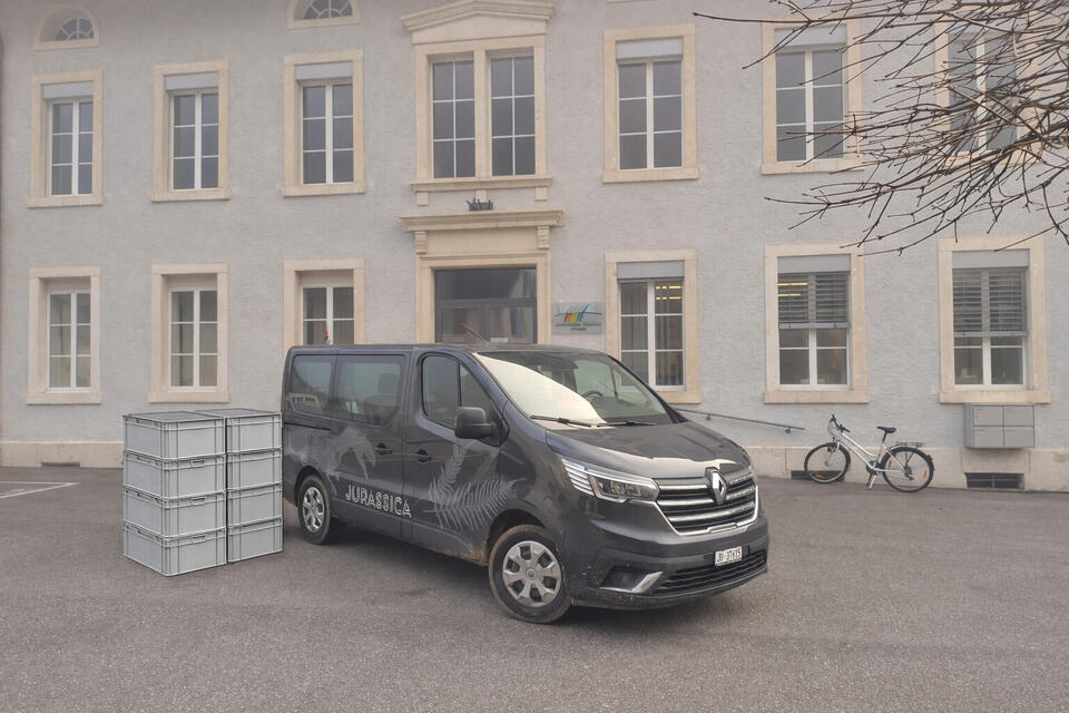 Dessine-moi un fossile