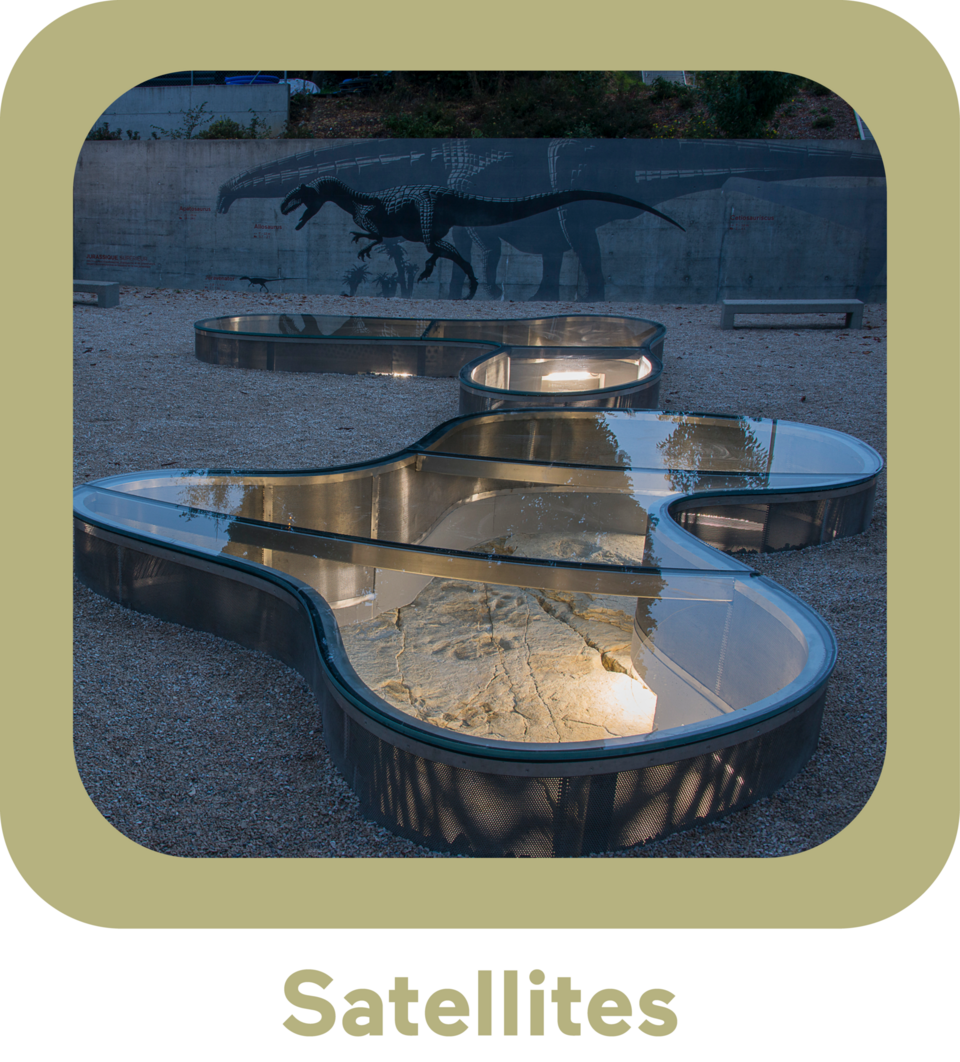 Satellites