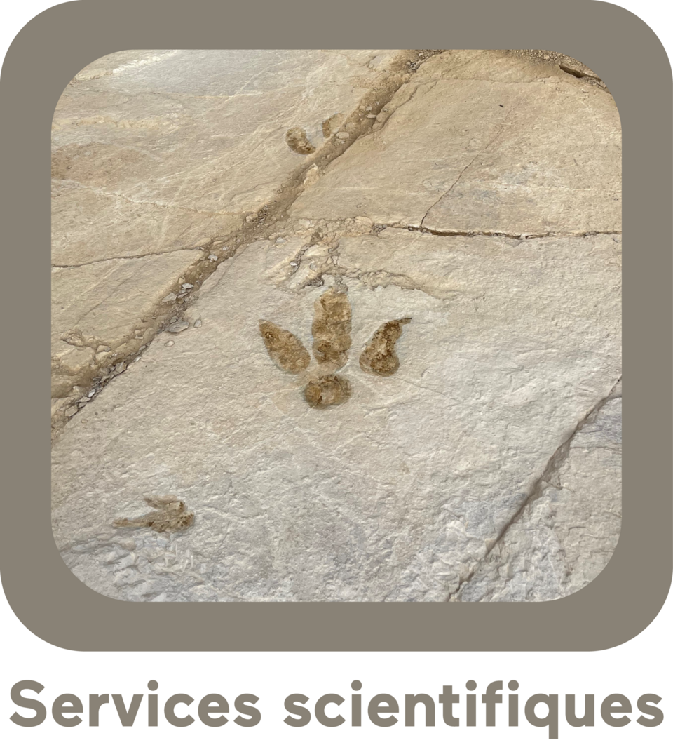 Services scientifiques
