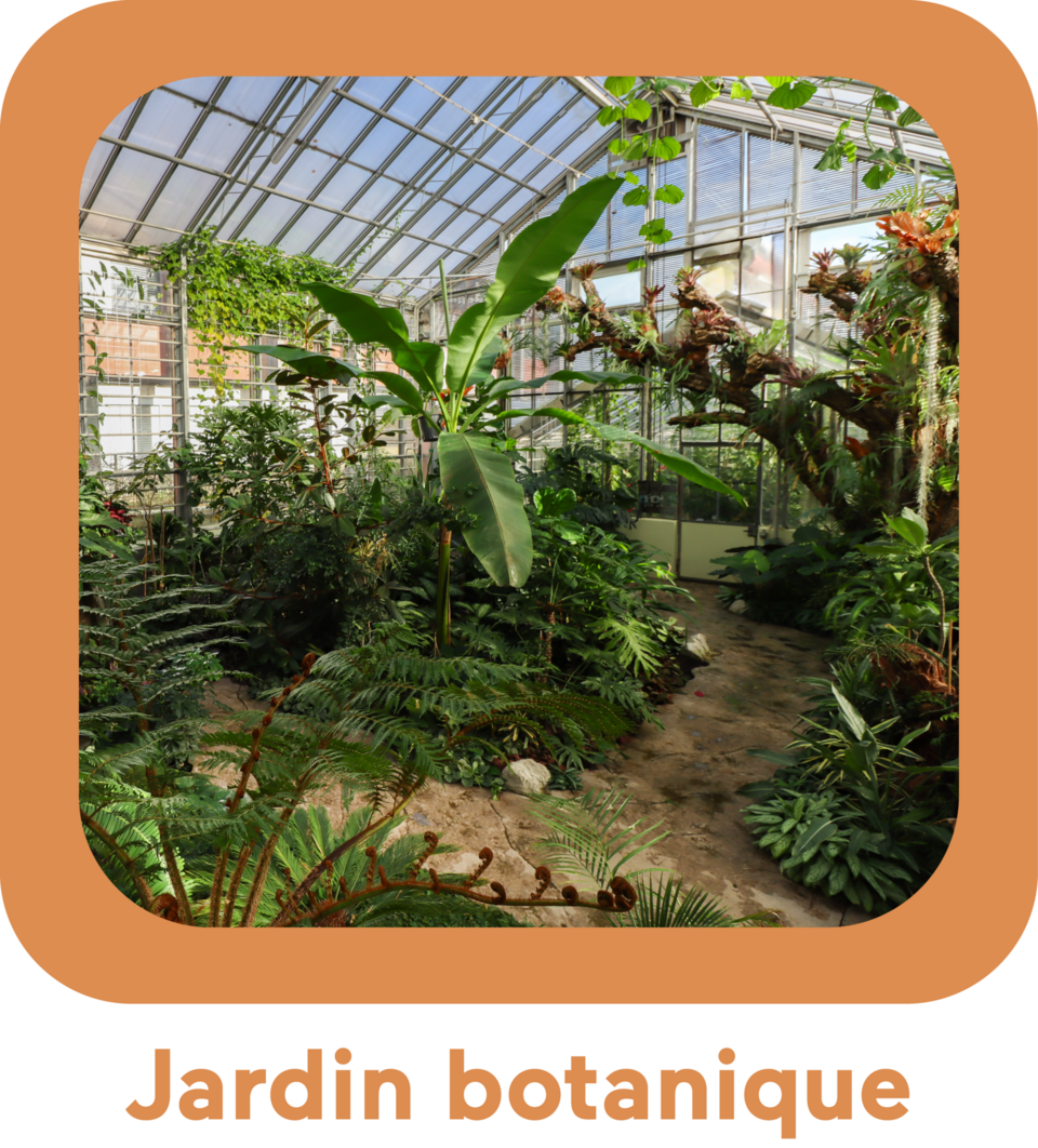 Jardin botanique