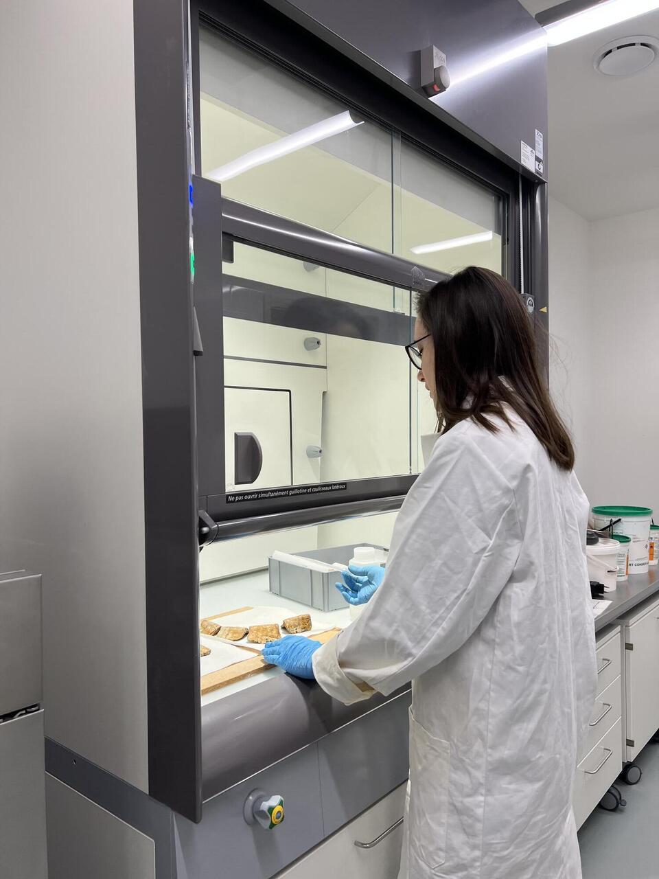 Konservatorin und Restauratorin