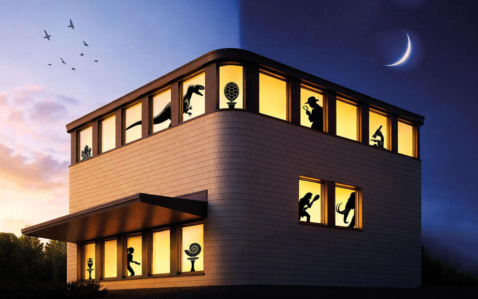 Museum Day and Night