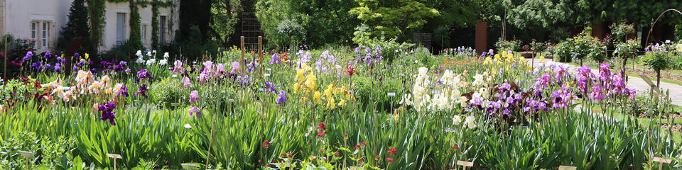 Jardin botanique