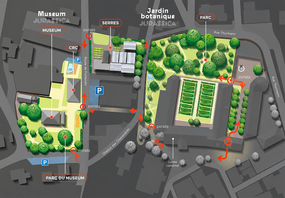 plan jurassica
