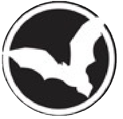 Logo Bat-Voulaint